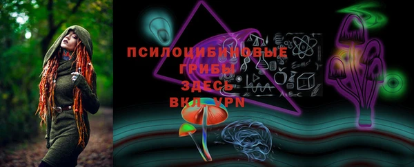 индика Арсеньев
