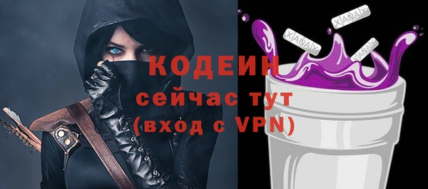 индика Арсеньев