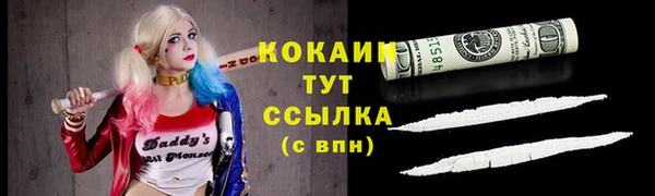 индика Арсеньев