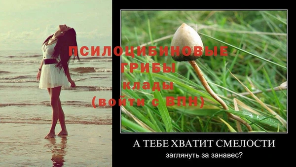 индика Арсеньев