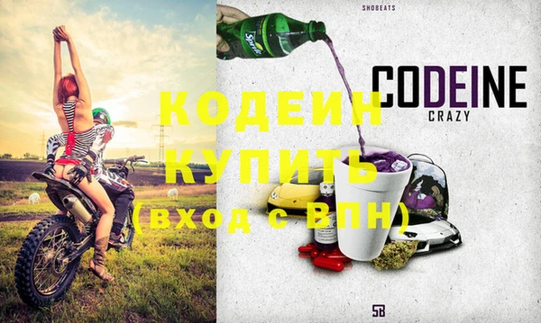 индика Арсеньев