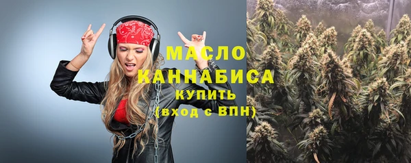 индика Арсеньев