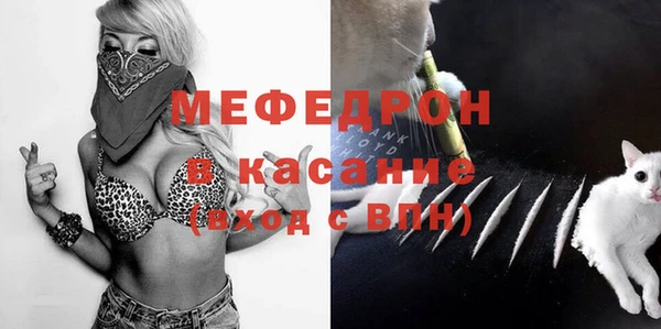 индика Арсеньев