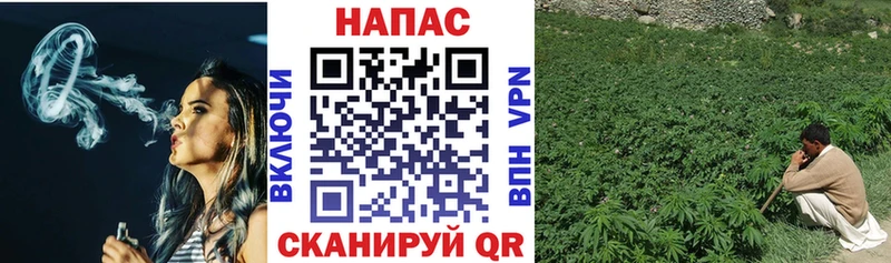 Каннабис планчик  закладки  Райчихинск 